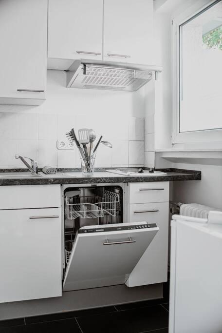 Wiesbaden - Apartment Im Nerotal Екстер'єр фото